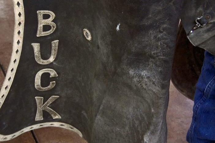 Appraisal: Hamley Saddle Co. Chaps, ca. 1920, from ROADSHOW's Special: Junk in the Trunk.