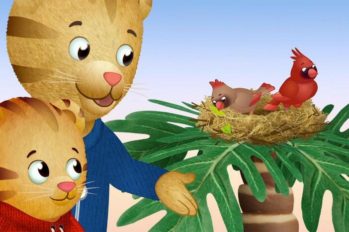Daniel wants to help a family of birds. / Daniel goes on a nature walk with O and Uncle X.