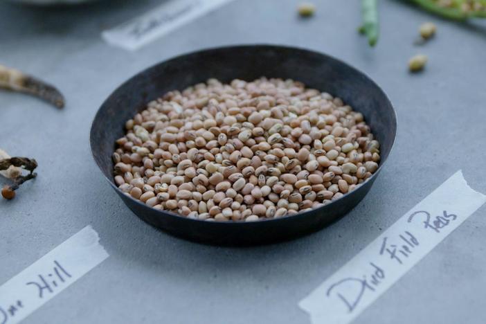 Vivian explores the origins of dried peas and their place in Southern food culture.