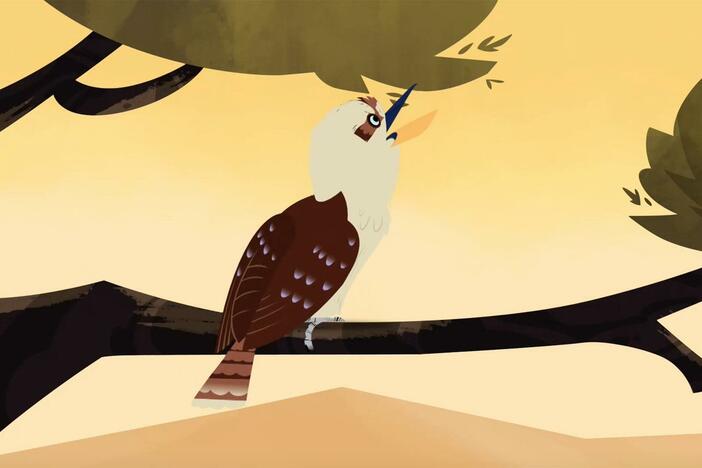 The bros encounter a Kookaburra bird while crusing the Australian desert in the Createrra.