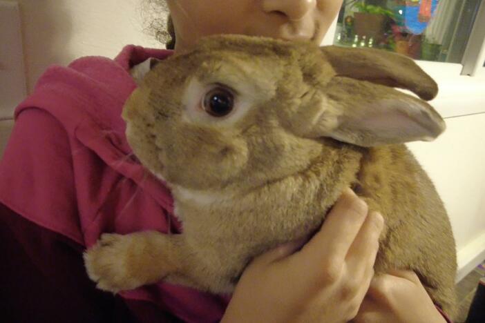 Meet Mia's many pets! Each has different needs – watch to see how Mia cares for them all.