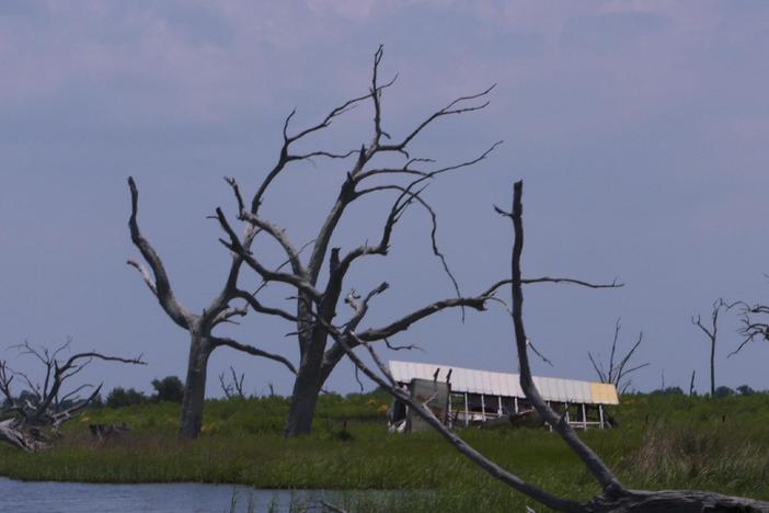 The effects of global warming are already being felt in communities in southern Louisiana.