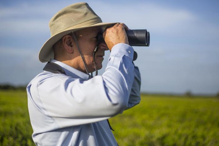 Birds, butterflies, horseshoe crabs and oceans -- a “Year in the Life of Citizen Science”