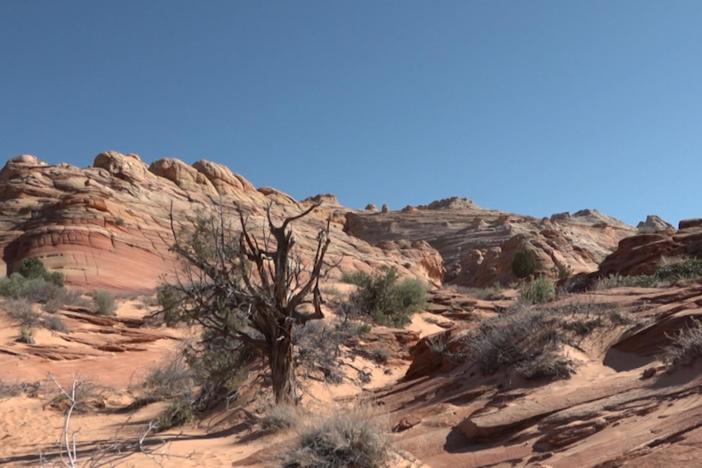 Who controls the vast and scenic lands of the American West?