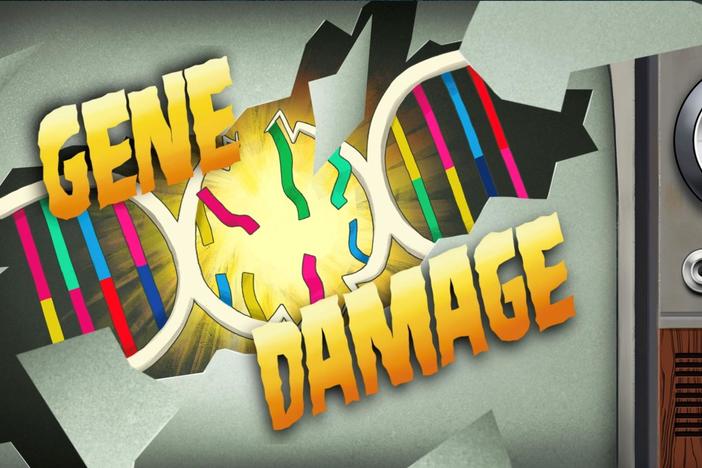 What goes on in our DNA to make us grow grey hair, wrinkles and less than healthy DNA?