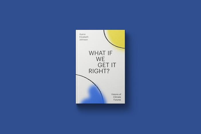 New book "What If We Get It Right?" offers hopeful view of handling the climate crisis