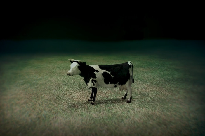 In World War I, the Germans used cow guts to construct their deadly Zeppelins.