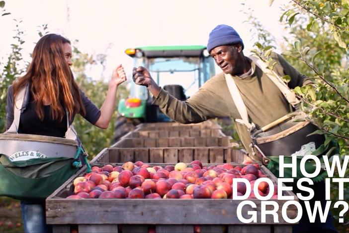 One of the world’s most common fruits has a secret that will blow your mind.