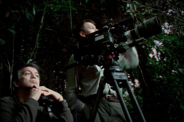 A behind-the-scenes look at Birds of the Gods.