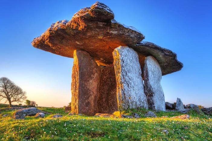 See the spectacular wildlife of The Burren in Ireland through the eyes of a pine marten.