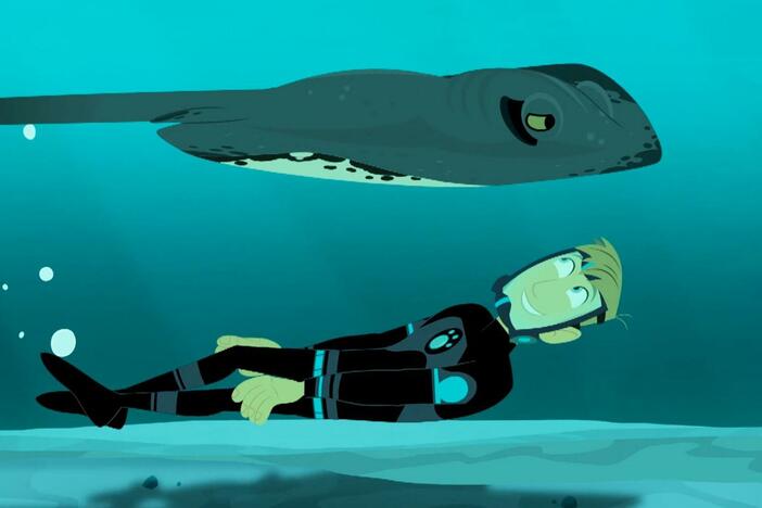 Martin and Chris need to find a creature with amazing hiding powers - the stingray!