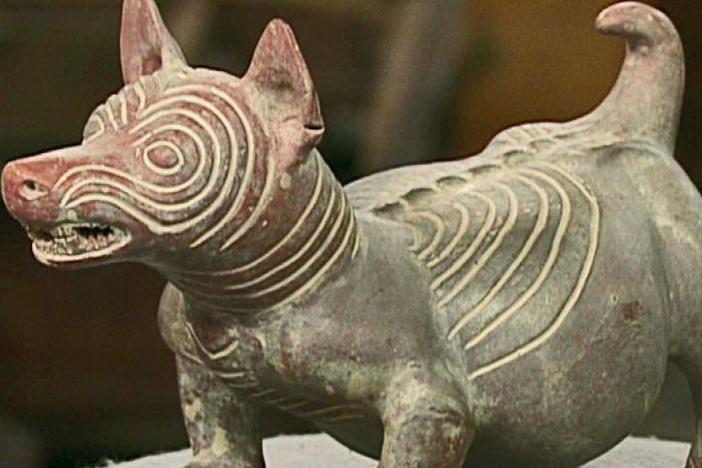Appraisal: Reproduction Colima Ceramic Dog, from ROADSHOW's Special: Cats & Dogs.
