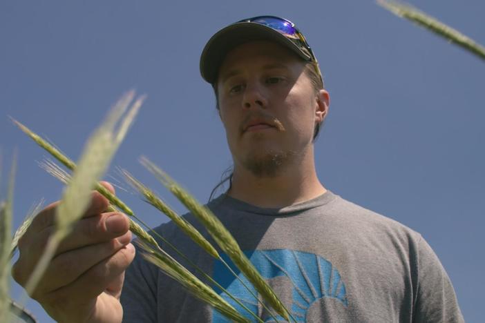 Can sustainable farming save Iowa's precious soil and water?