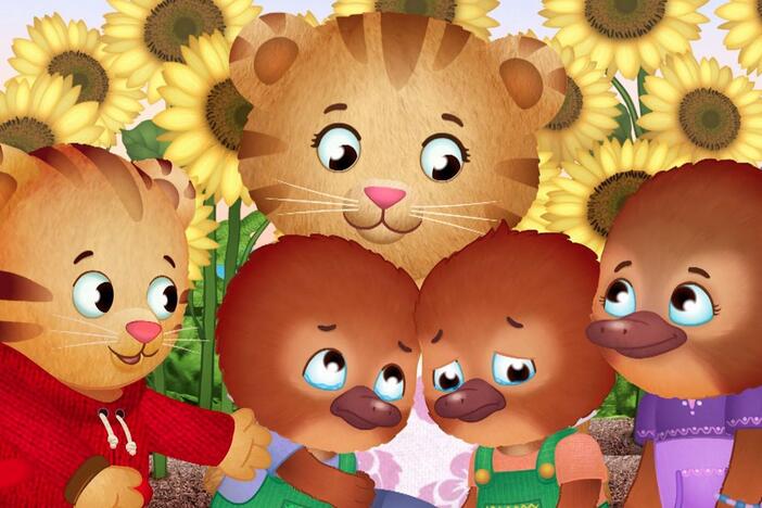 Nana goes to the market to shop. The kids stay with Daniel and Mom Tiger to play.
