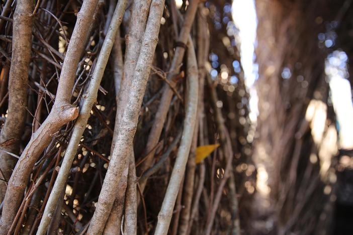 Sculptor Patrick Dougherty on his work. NATURE episode PBS premiere: Friday April 21, 2017