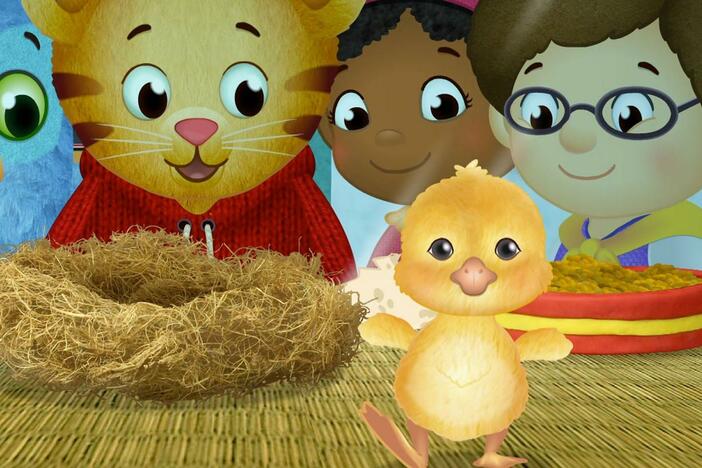 After a lot of waiting, Daniel and his friends see their new class pet hatch.