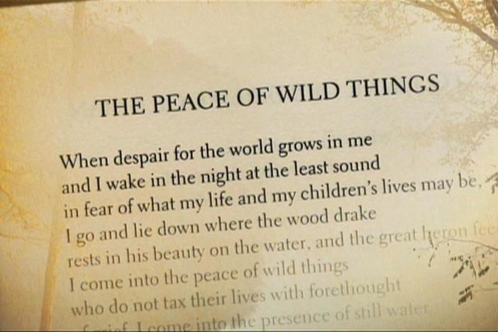 Kentucky poet and farmer Wendell Berry is passing on his family’s farming legacy.