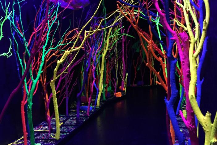 Can an immersive, mystery funhouse help revive a state like New Mexico?