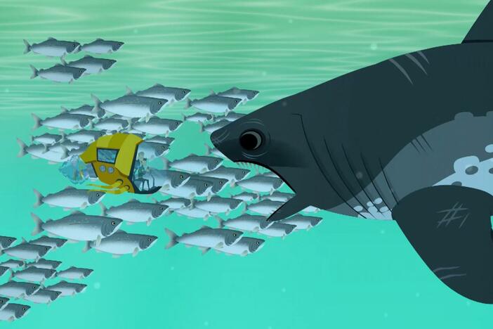 Traveling in their sub, Martin and Chris end up in a salmon run.