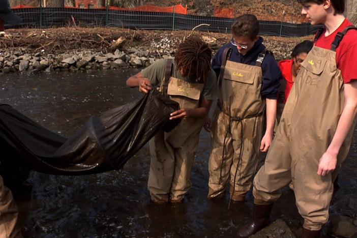 Chris Bowser coordinates a program which trains students to monitor local eel populations.