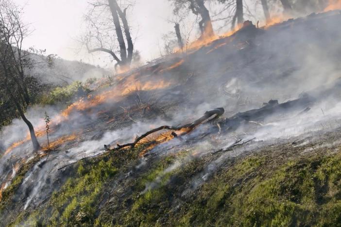 A Yurok knowledge keeper seeks to return fire practices, and restore land and people.