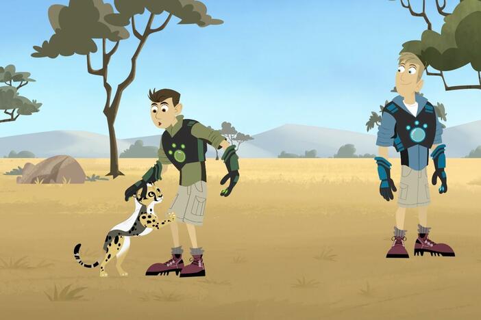 Chris and Martin look for Blur, the cheetah mom of Spotswat.