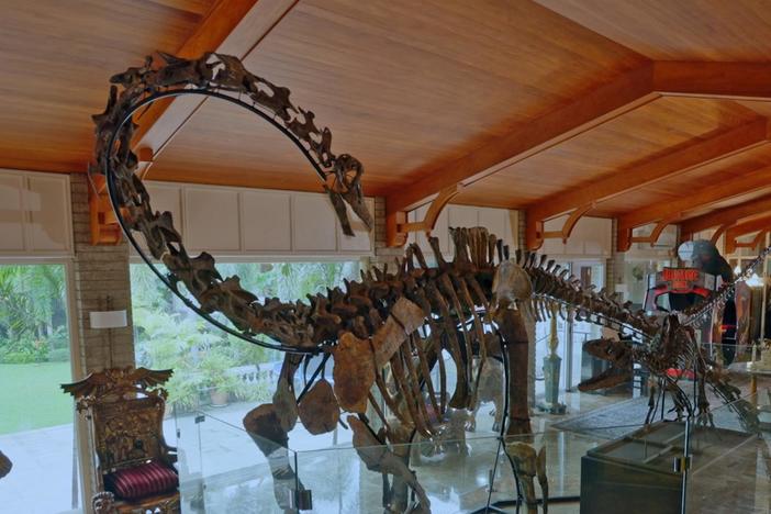 A collector talks his love of dinosaurs and shows off the displays in his home.