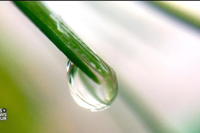 Can scientists harvest fog to secure world's water supply?