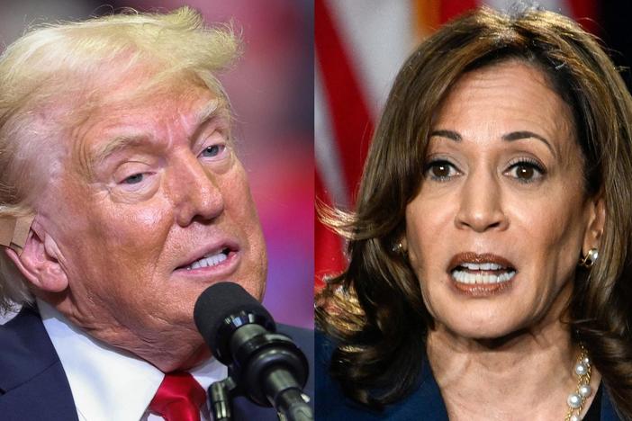 Democratic and Republican strategists analyze the rapidly changing presidential race
