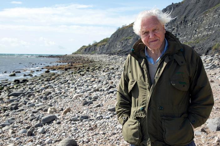 Join Sir David Attenborough as he uncovers a new species of Ichthyosaur.