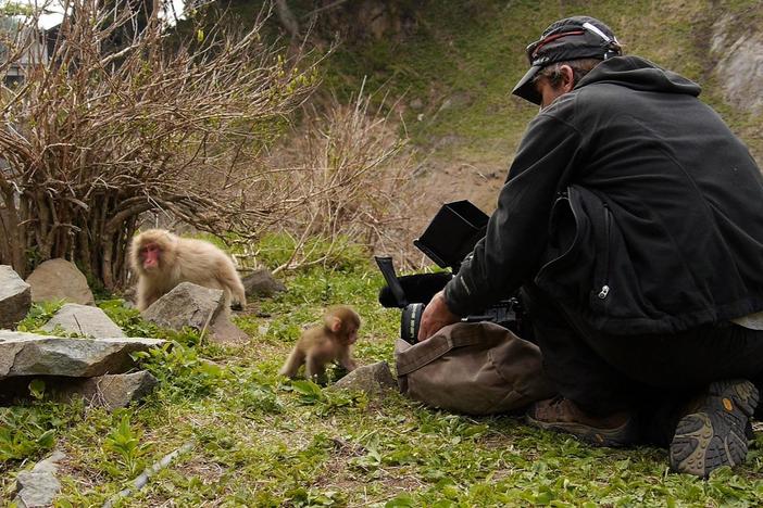 Go behind the scenes with Nature to discover how these incredible moments were captured.
