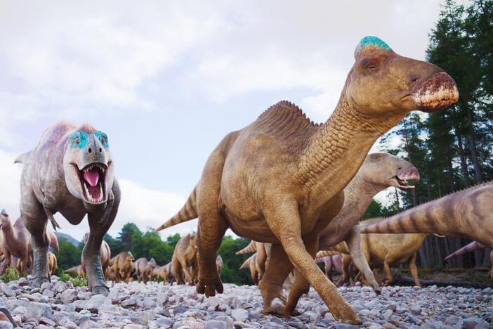 In late Cretaceous Alberta, many apex predators roamed free, so how did the prey
survive?
