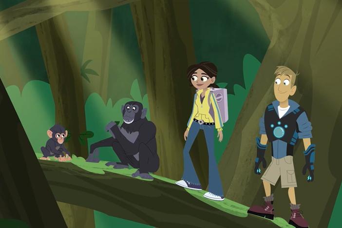 The gang ventures into Uganda's tropical forest and learns about chimpanzees.