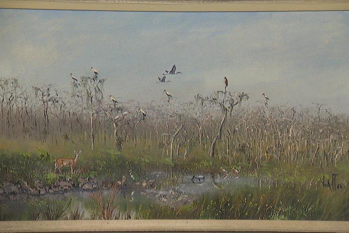 Appraisal: 1986 Sam Vinikoff Everglades Oil Painting