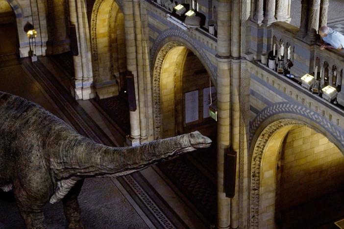 Sir David Attenborough befriends a giant dinosaur, the Diplodocus.