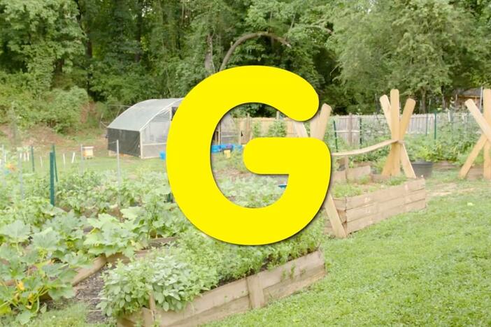 Garden starts with the letter G! Let's learn more about gardens and explore!
