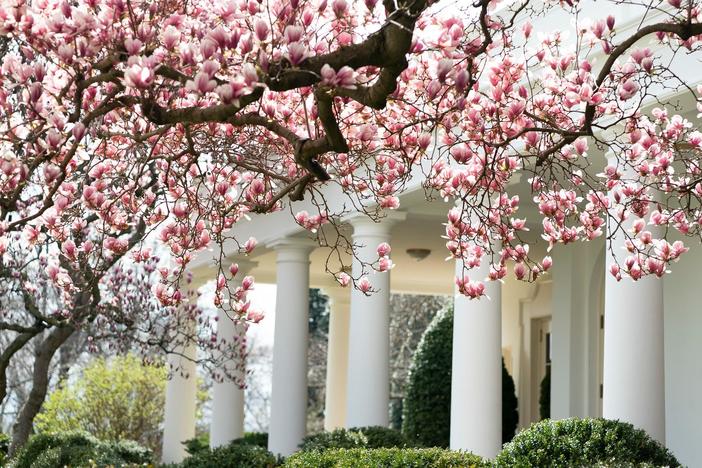 Washington Week Extra for March 13, 2020
