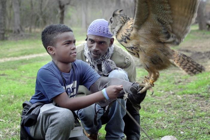 A falconer endeavors to build a bird sanctuary and provide his community opportunities.