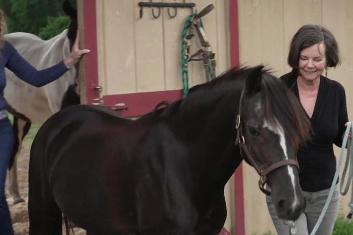 Author Geraldine Brooks delves into an untold story of a racehorse and his caretaker