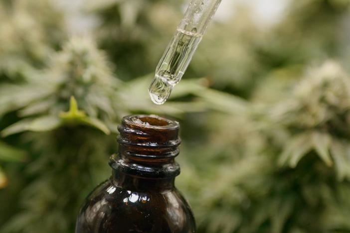About a third of epilepsy patients don't respond to medication.