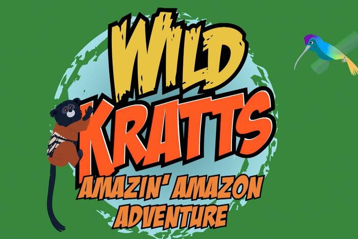 Go on an Amazin' Amazon Adventure All This Week!