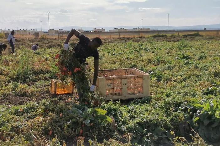 Inside African migrants' fight against 'slave-like' conditions in Italy