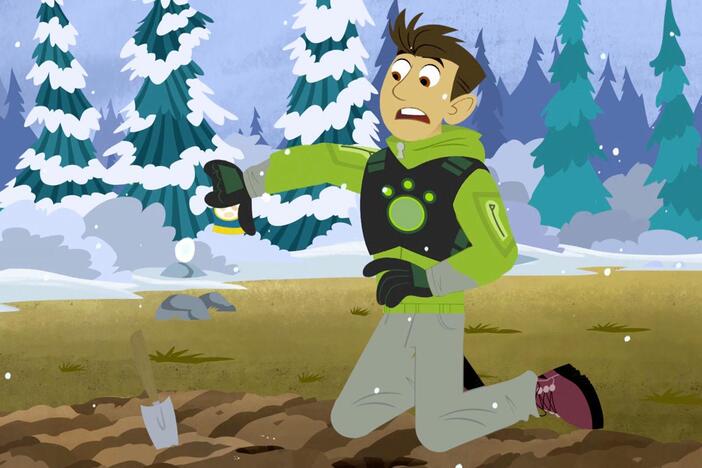 Chris plants his Sunflower seeds during the winter only to have them scooped up by Chickad