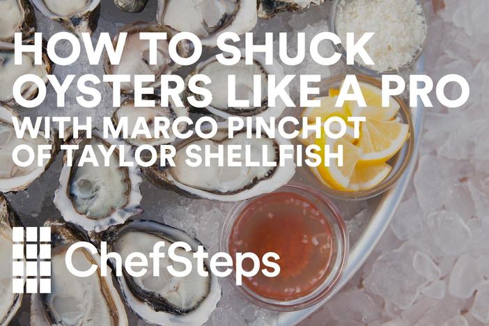 Learn the oyster-shucking tricks of the pros.