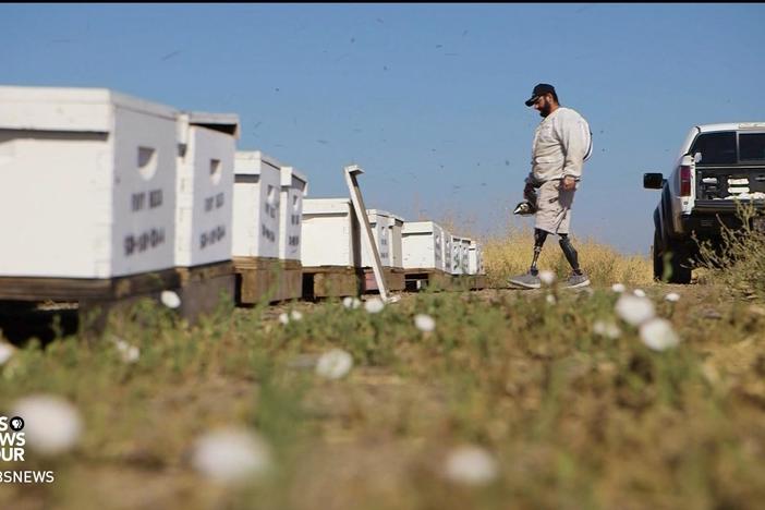 War veterans find sustenance--and solace--in farming