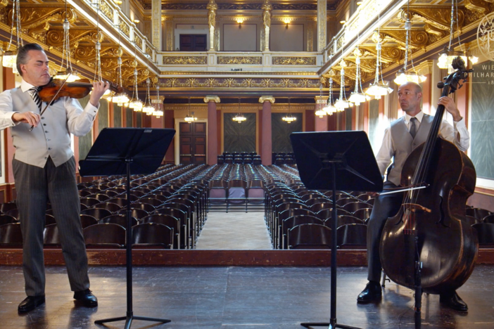 As the world goes through a huge crisis, the Vienna Philharmonic sends a musical greeting.