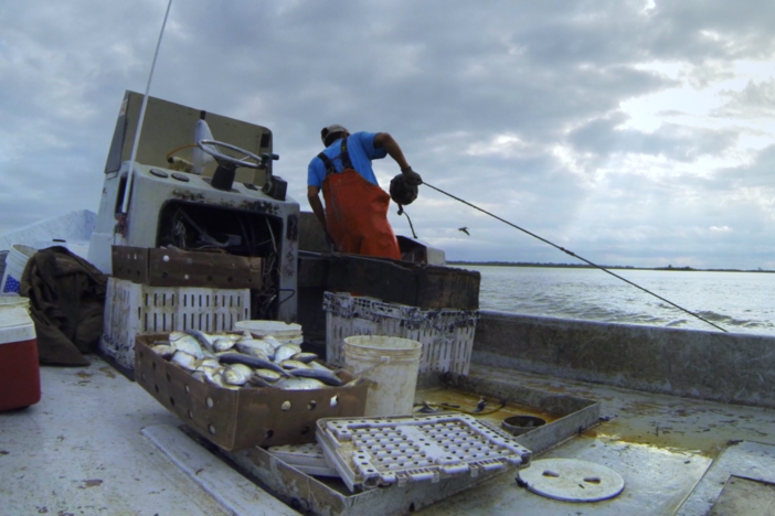 Catch of the morning with "Cherry" on the Texas gulf coast.