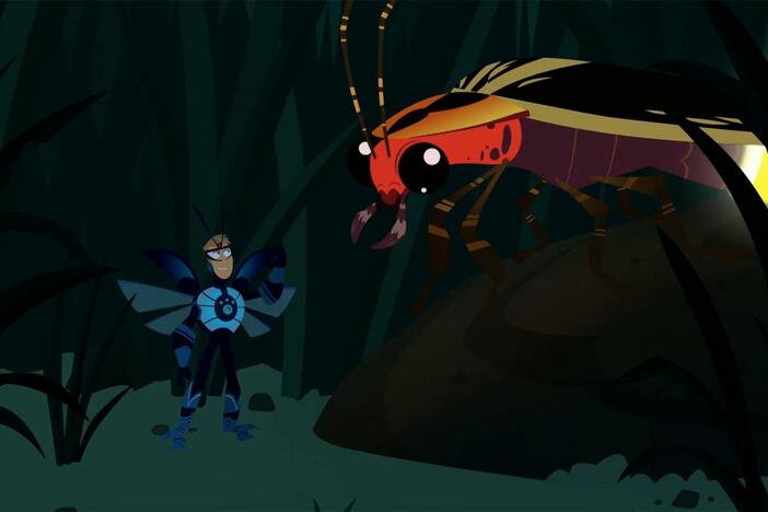 Martin runs into a predatory firefly that tries to eat him for lunch!