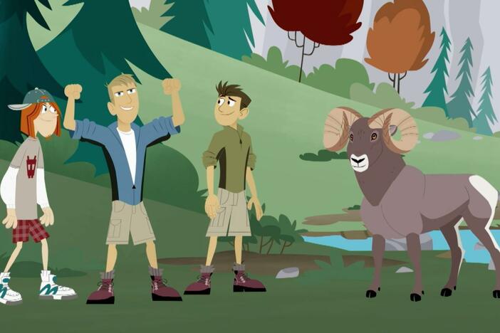 Chris challenges Paisley Paver to a race to decide the future of Goat Mountain.