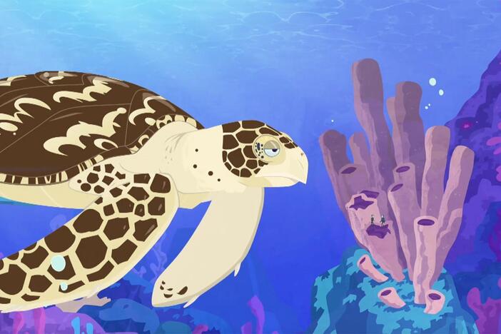 Inside a sea sponge, the bros are startled as it shakes; caused by a sea turtle eating it!